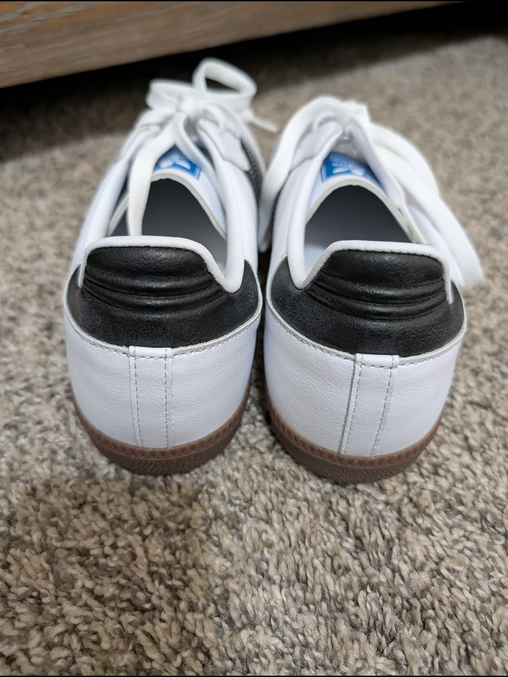 adidas classic samba